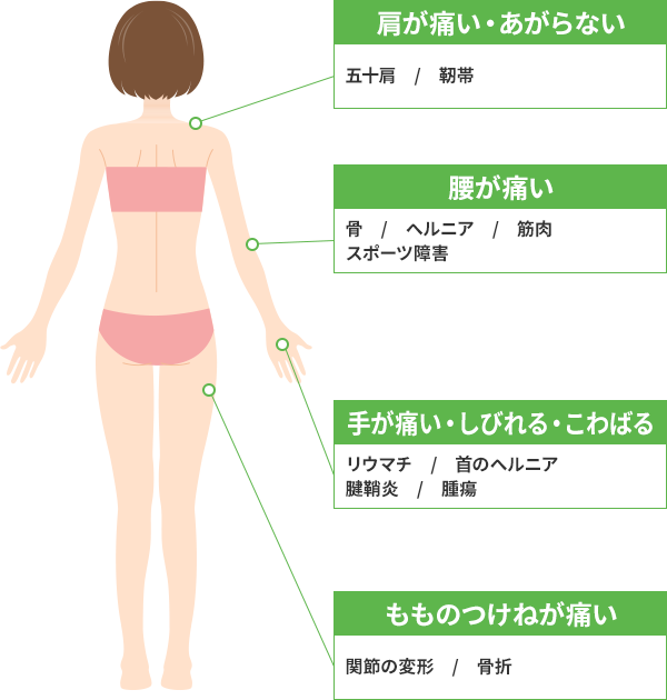 体背面の主な症状